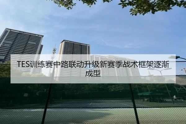 TES训练赛中路联动升级新赛季战术框架逐渐成型